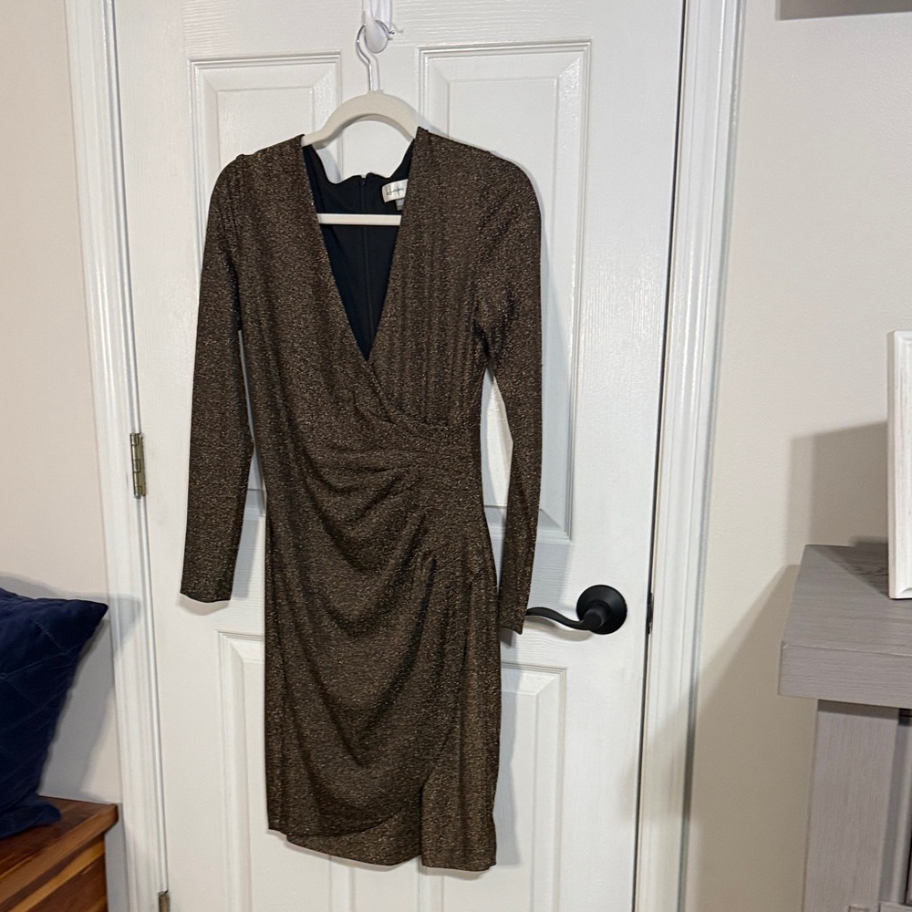 Elegant Shimmering Long Sleeve Dress